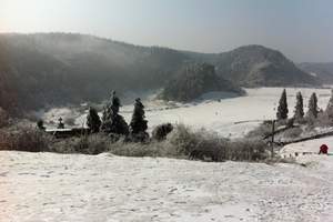 重庆旅游 仙女山、天坑三桥二日游{自然风光，踏青之旅}