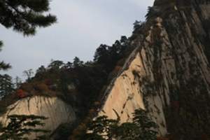 陕西旅游年票景点 陕西旅游年票团购 陕西一日游团购华山一日游