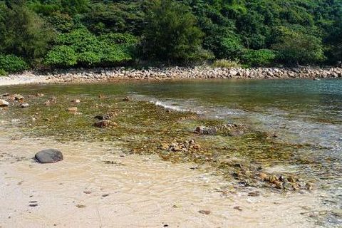 <香港1日游>万宜地质步道之西贡生态观光（当地游）